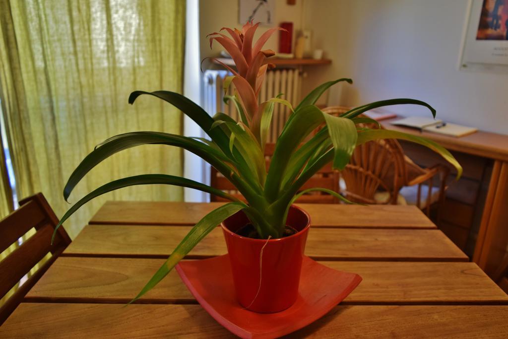 Armonia&Passione Apartman Milánó Kültér fotó